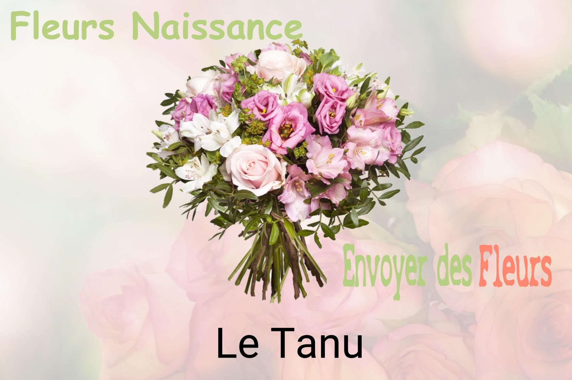 Bouquet de fleurs de naissance livré à Le Tanu